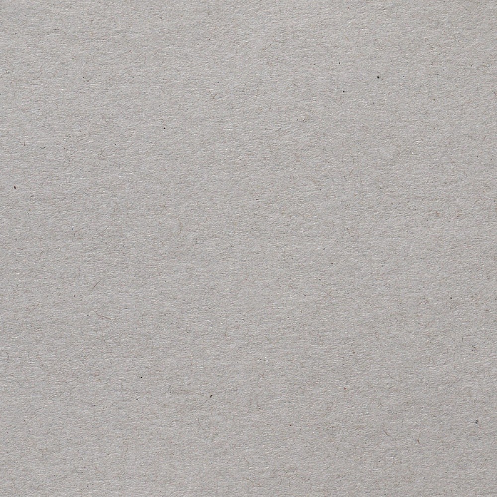 Картон обложечный ЗАО ПРОЛЕТАРИЙ. «Картон Сервис»