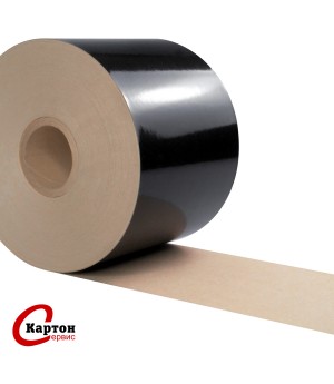 Картон ЧЁРНЫЙ ПРАЙМ ПЭ (глянцевый)